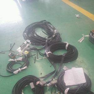 2018010252  oRDs3Tһ185