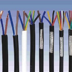 ||NеһNʲôǿ|